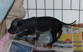 Enlarge photo 8