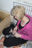 Enlarge photo 11