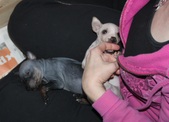 Enlarge photo 10