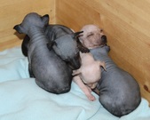 Enlarge photo 12