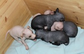 Enlarge photo 12