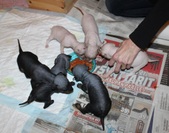 Enlarge photo 7