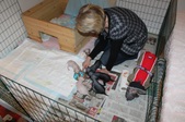 Enlarge photo 8
