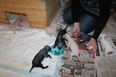 Enlarge photo 9