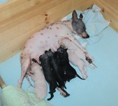 Enlarge photo 2