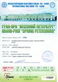 Enlarge PDF 2