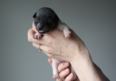 Enlarge photo 9