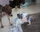 Enlarge photo 19