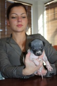 Enlarge photo 12