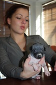 Enlarge photo 11