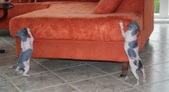 Enlarge photo 14