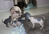 Enlarge photo 18
