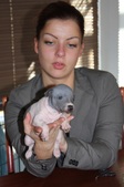 Enlarge photo 12