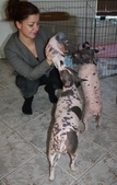 Enlarge photo 13