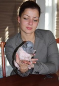 Enlarge photo 11