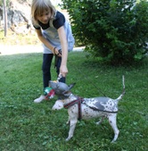 Enlarge photo 24