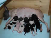 Enlarge photo 7