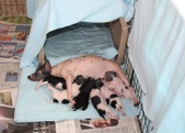 Enlarge photo 15