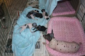 Enlarge photo 18