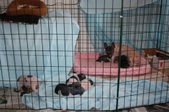 Enlarge photo 19