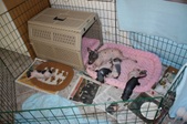 Enlarge photo 20