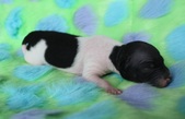 Enlarge photo 4