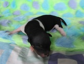 Enlarge photo 4
