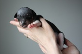 Enlarge photo 8