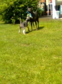 Enlarge photo 24