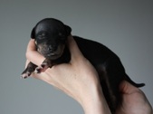 Enlarge photo 6