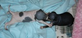 Enlarge photo 9