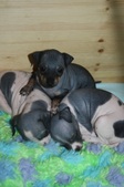 Enlarge photo 14
