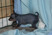 Enlarge photo 15