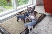 Enlarge photo 22