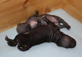 Enlarge photo 4