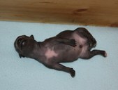 Enlarge photo 6
