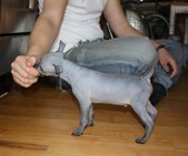 Enlarge photo 13