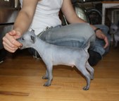 Enlarge photo 14