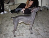 Enlarge photo 17