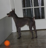 Enlarge photo 21