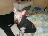 Enlarge photo 10