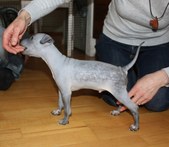 Enlarge photo 9