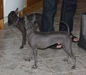 Enlarge photo 14