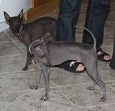 Enlarge photo 16