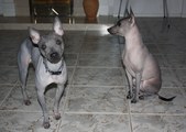 Enlarge photo 23