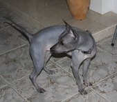 Enlarge photo 15
