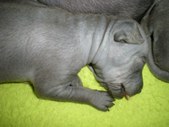 Enlarge photo 12