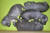 Enlarge photo 16