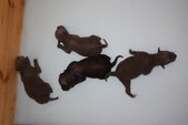 Enlarge photo 14