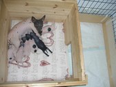 Enlarge photo 11